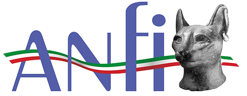Anfi